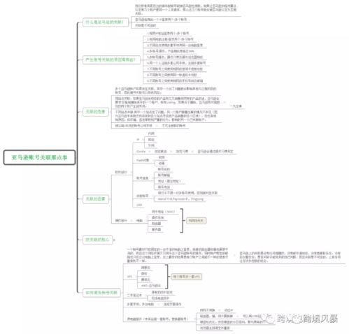 亚马逊运营全攻略 43套思维导图解锁超级干货与增值电信业务经营之道